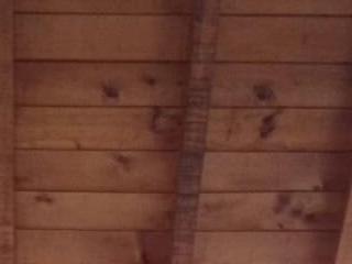 Zoe-Johnson