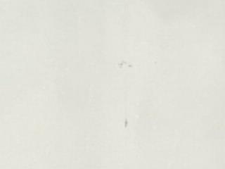 11inch trans in america