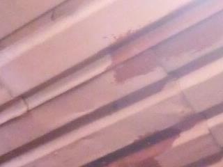 chubbydoll122