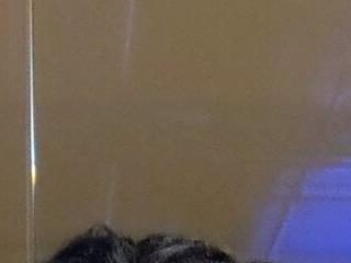 gatoalex89