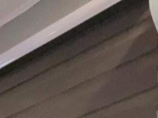 hardwildcock