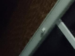 HotStreetCam