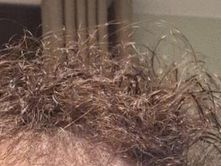 littlehairyman