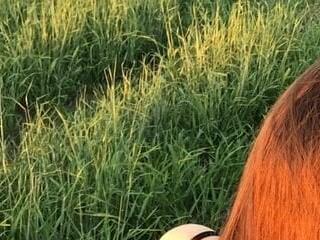 lola sun12