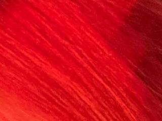 LollyRedFoxy