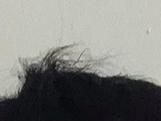 luciferalpha1231