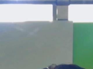 militohot