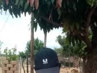 shebeshid