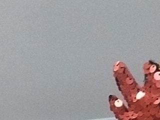 SlaughtarGangCeo