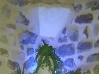 Soloyan