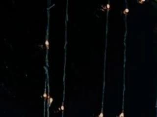 strellita 