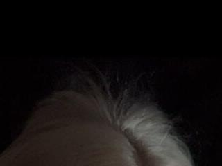 SusieEvans