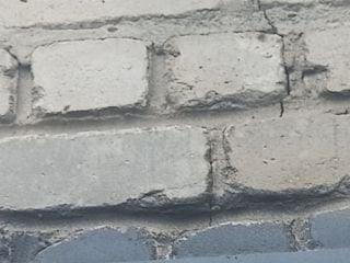 VektorVabis