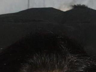 yohacriss
